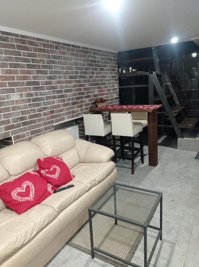 Apartment Parking Loft Akaciju VNO Kültér fotó
